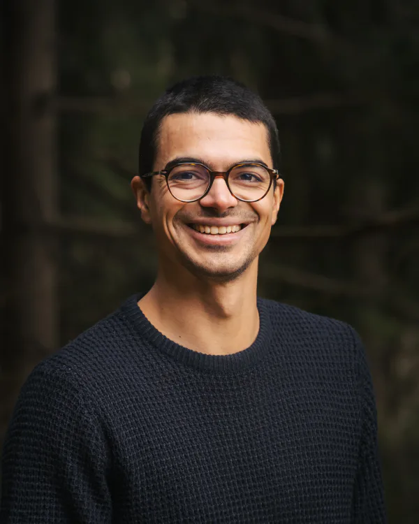 Josh Willett, independent SEO consultant